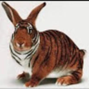 Meet your Posher, Rob